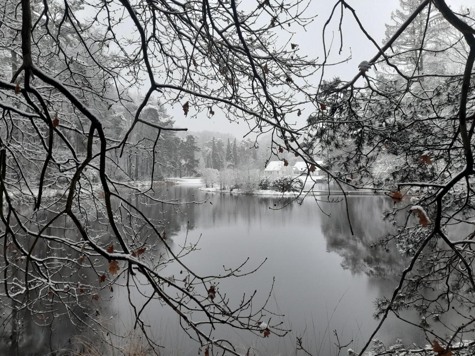 Kromven Merksplas Exteriör bild
